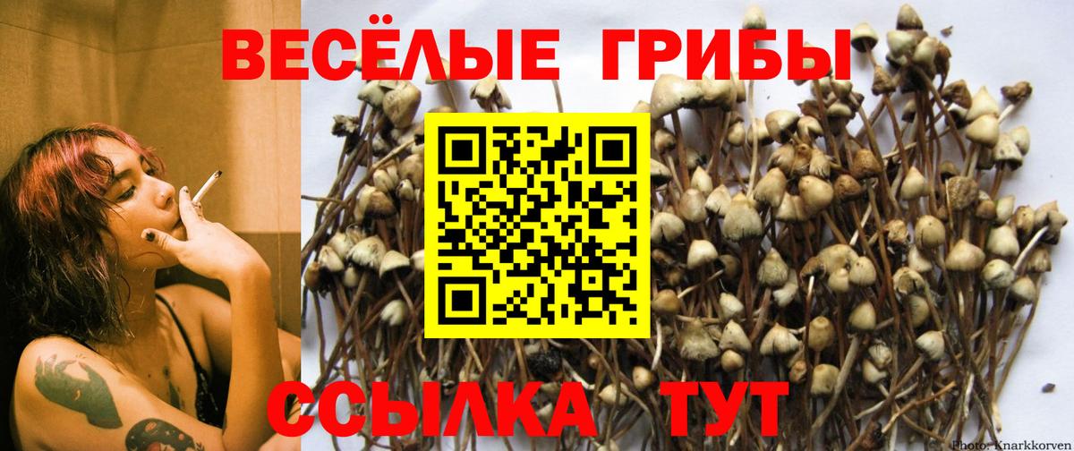 Галлюциногенные грибы ЛСД  Вход с VPN  Псилоцибиновые грибы MAGIC MUSHROOMS  купить наркотик  Горячий Ключ 